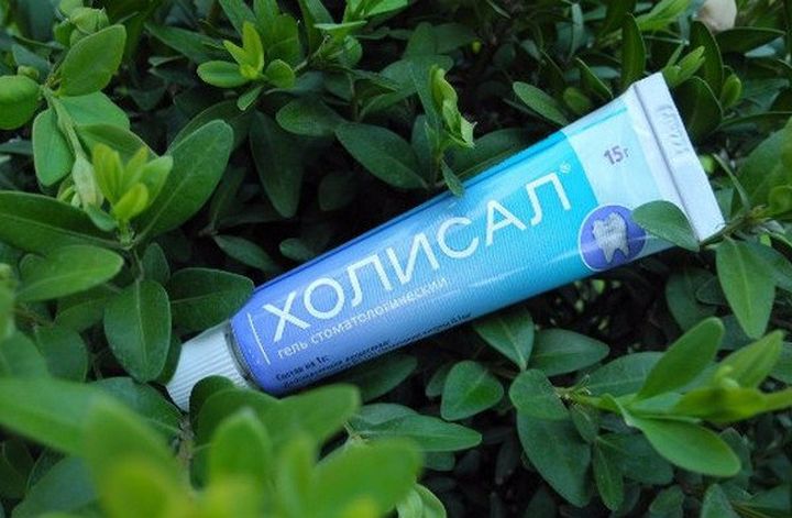 Холисал гель