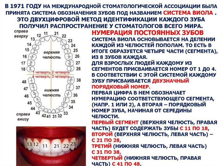 Двухцифровая система Виола