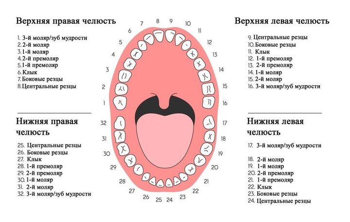 Универсальная система нумерации