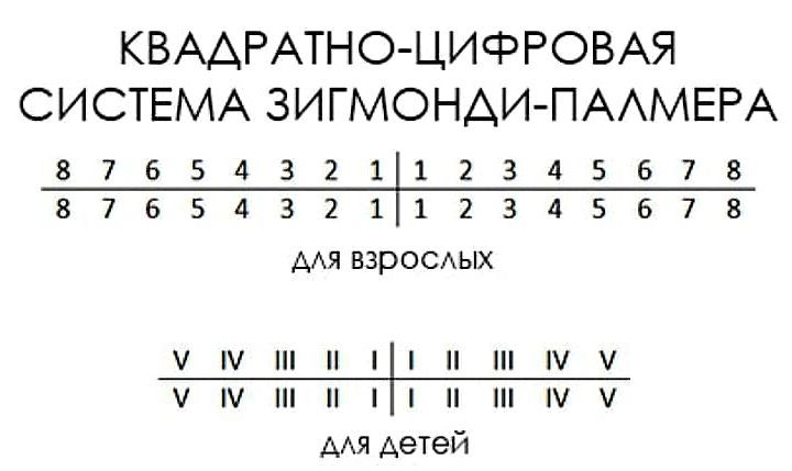 Система Зигмонди-Палмера